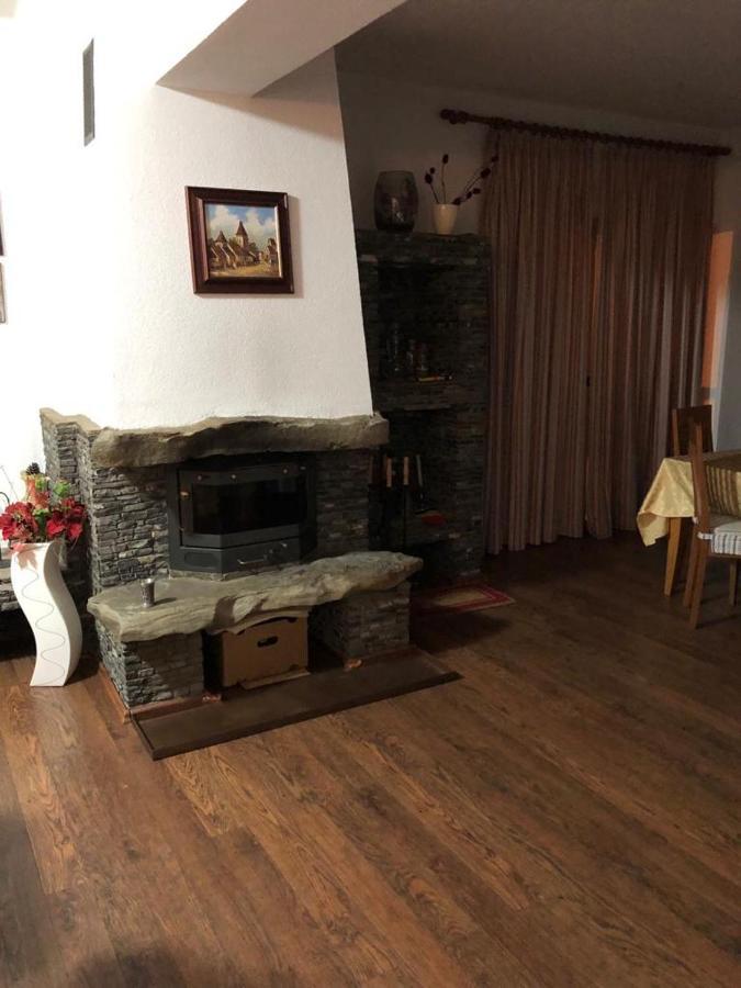 Vila Eli Βίλα Azuga Εξωτερικό φωτογραφία