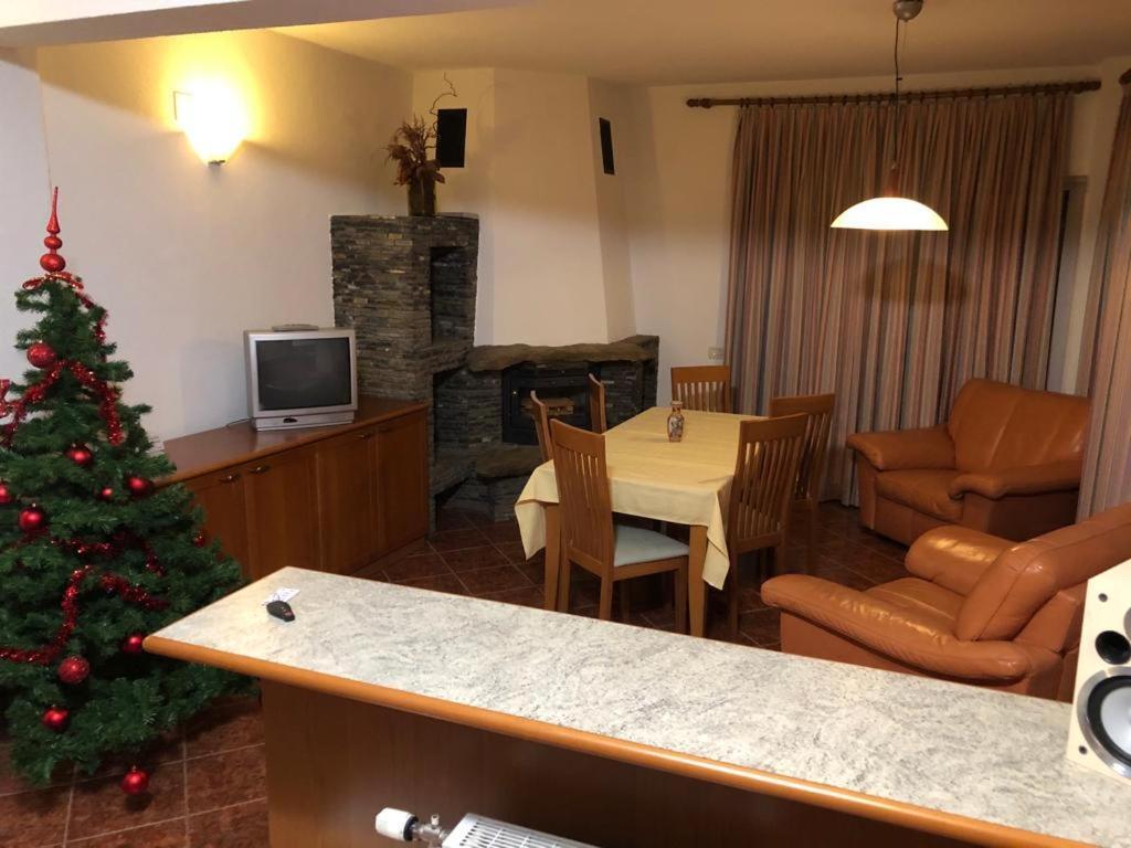 Vila Eli Βίλα Azuga Εξωτερικό φωτογραφία