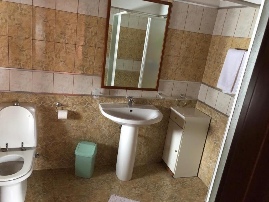 Vila Eli Βίλα Azuga Εξωτερικό φωτογραφία